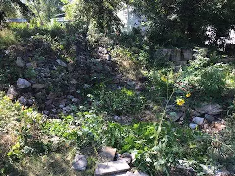 A pond and waterfall fell into disrepair. Vines and weed took over as the liner was punctured in various spots and the hillside became overgrown.